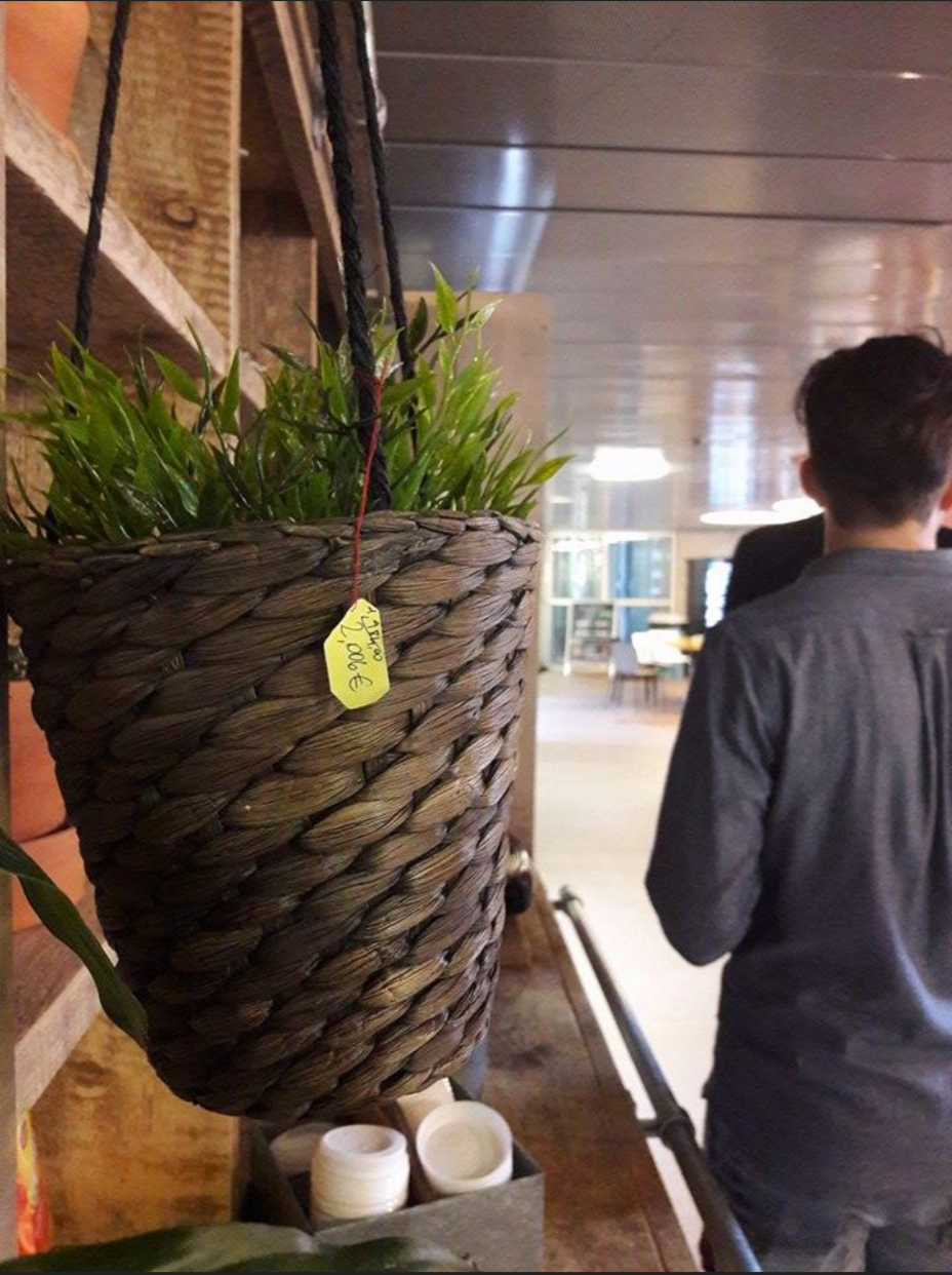 a plant in the canteen area of the school campus, which the students attached a price tag on 